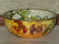 /album/ro%c5%bcne/img-2581-jpg/