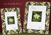 /album/komplety/img-5428-jpg1/