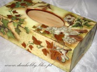 /album/chusteczniki1/img-6206-jpg/