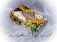 /album/chusteczniki1/img-6675-jpg/