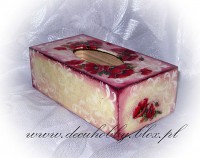 /album/chusteczniki1/img-6681-jpg/